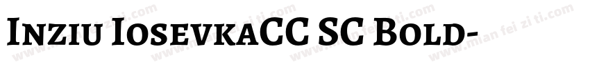 Inziu IosevkaCC SC Bold字体转换